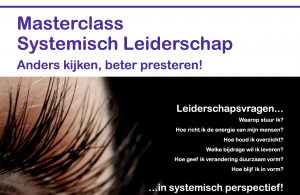 Masterclass Systemisch Leiderschap